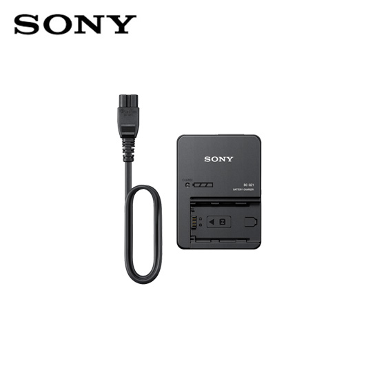 Sony NP-FZ100 Battery Charger